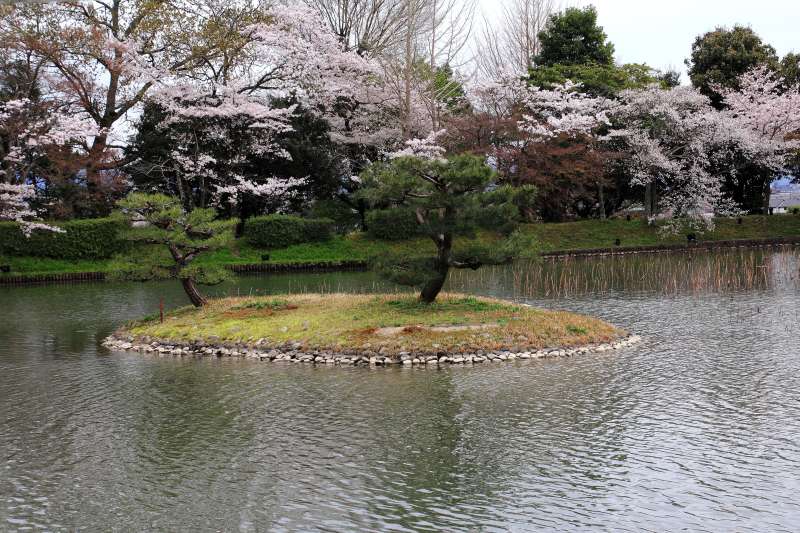 大沢池_004.jpg