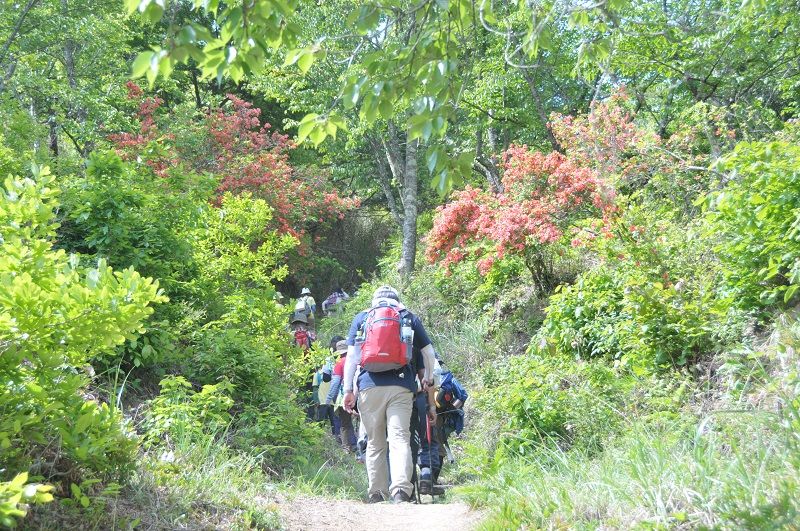 第9回醍醐山一斉登山・登山編 | 醍醐山と下部（しもべ）温泉 - 楽天ブログ