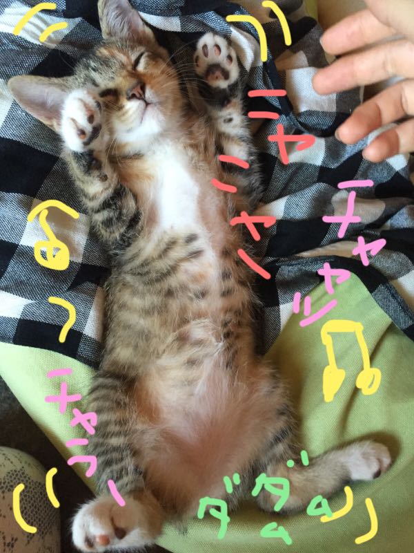 rblog-20150714223758-02.jpg
