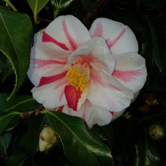 rblog-20130429000841-01.jpg