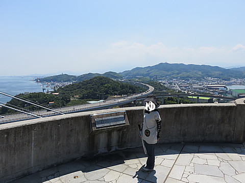 IMG_4459.jpg