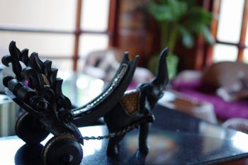 20120806_005.jpg