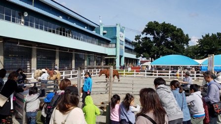 20170917_131849.jpg