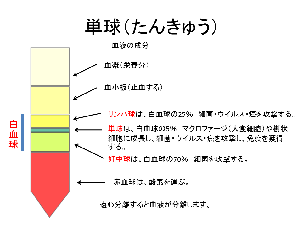 word29.png