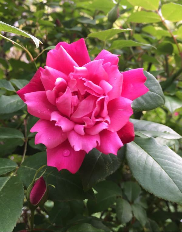 rblog-20180415200130-07.jpg