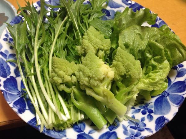 rblog-20170315003303-03.jpg