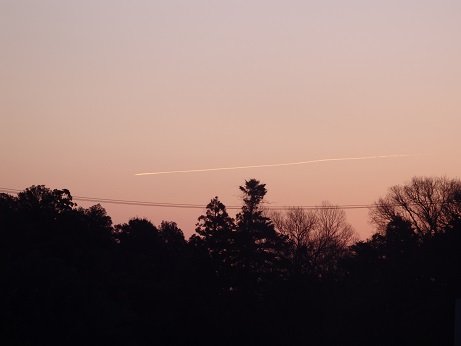 2016_0303_060629-P3031477-10.jpg