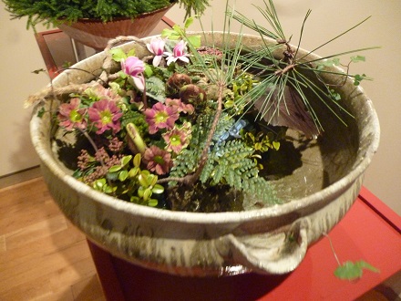 P1010180.jpg