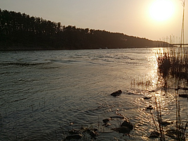 DSC_0006.jpg