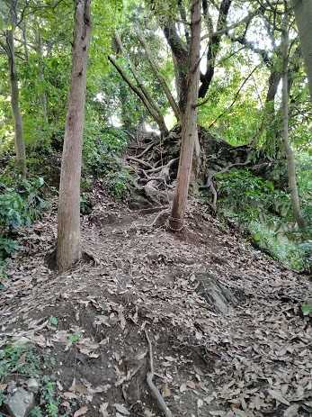 金鑚神社（かなさなじんじゃ）から御嶽山・御嶽城跡 低山登山 | 家一軒を解体してみたら いろいろやってみたくなる - 楽天ブログ