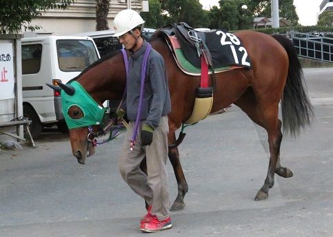 大井競馬場便り 地方競馬の楽天競馬 日替わりライターブログ 楽天ブログ