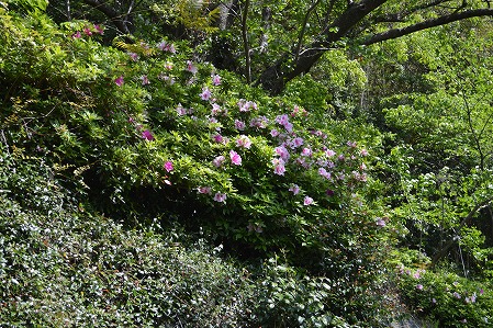 DSC_0112.jpg