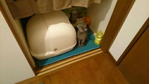 rblog-20170528184920-05.jpg