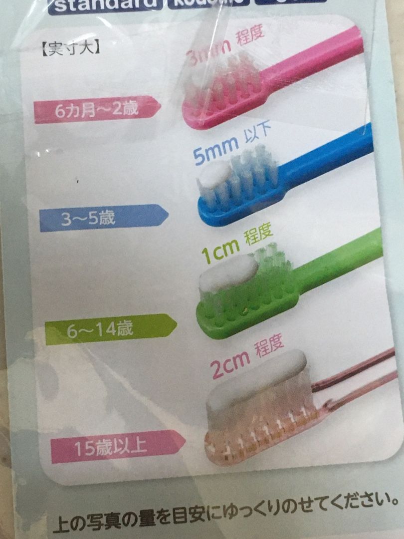 歯磨き粉の量 西慶寺 ブログ 楽天ブログ