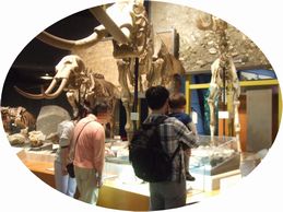 20120430_博物館2.JPG