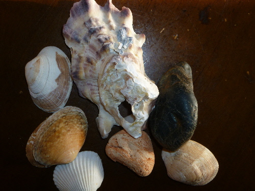 P1150209(1).JPG