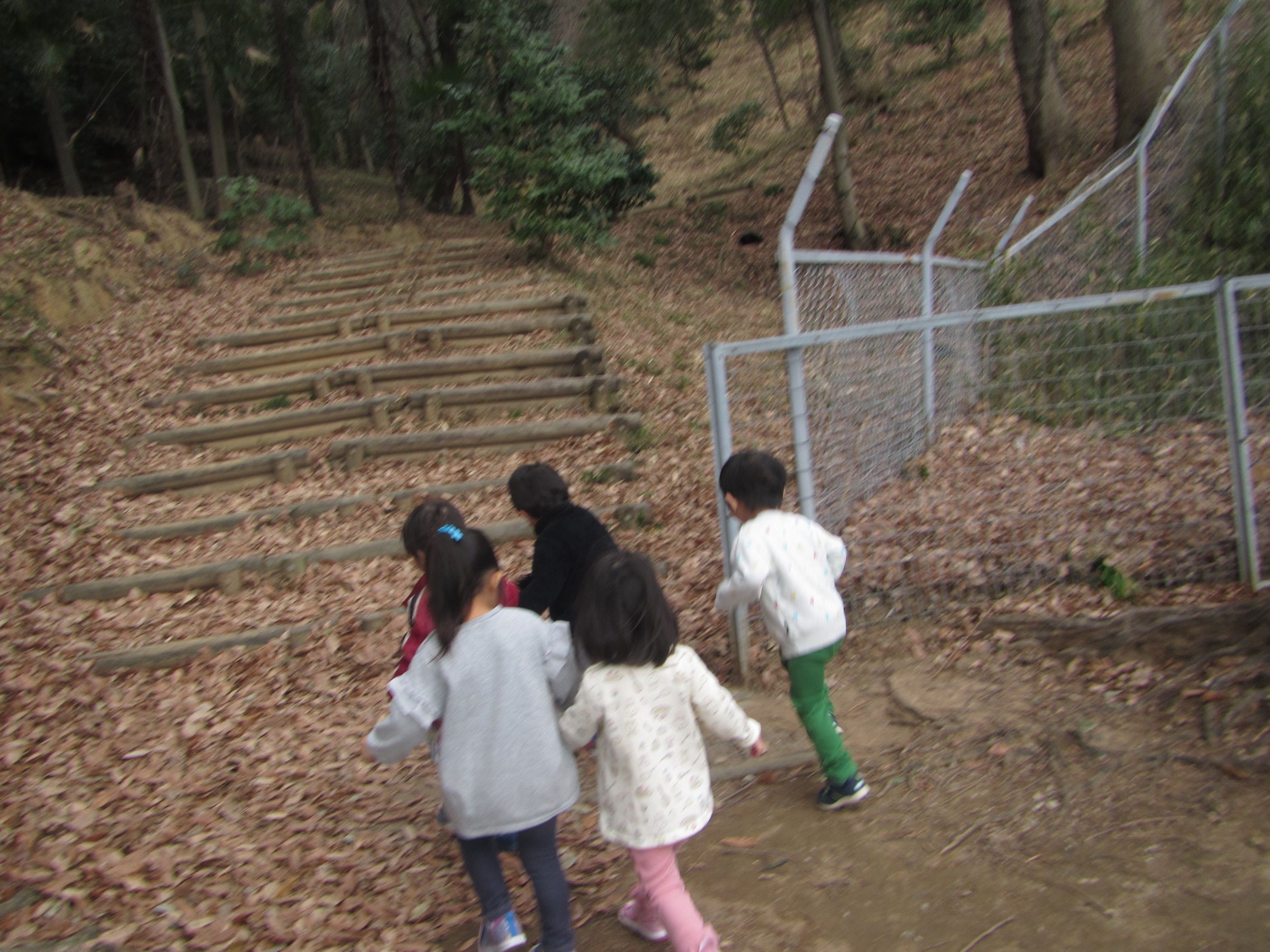 金山登山 | 認定こども園 アプリコット保育園 - 楽天ブログ