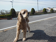 conv0095.JPG