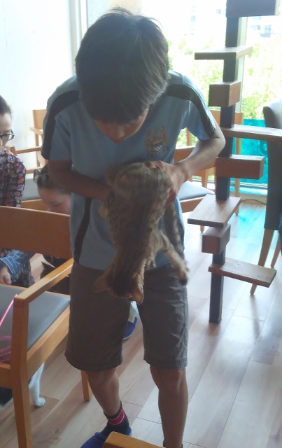 KC4F0573 (403x640) (2).jpg