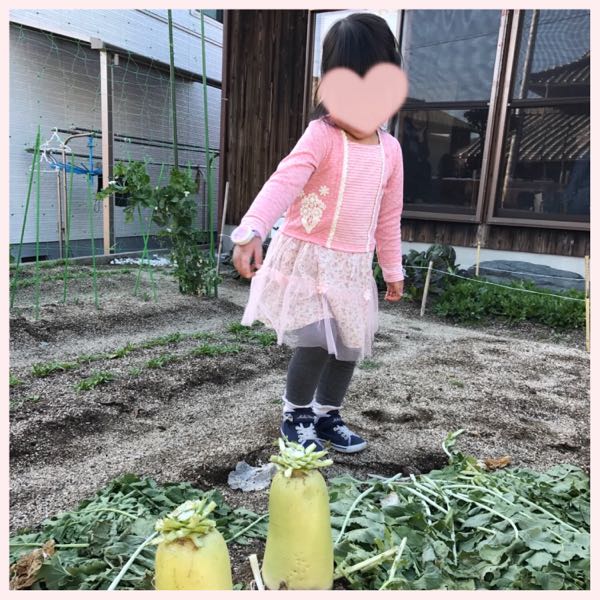 rblog-20180311185831-03.jpg
