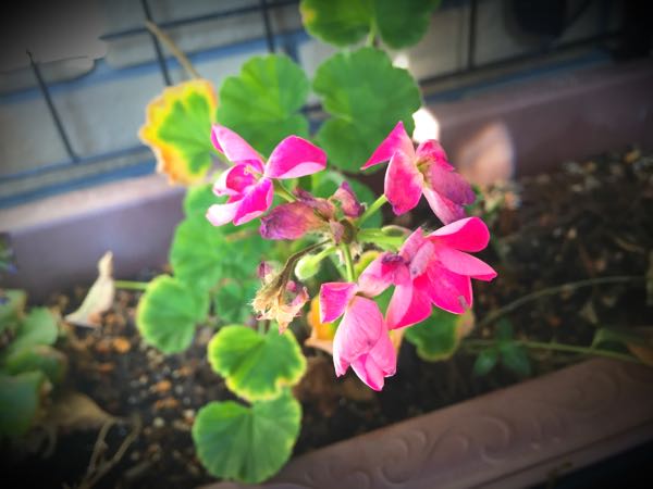 rblog-20150227215758-02.jpg