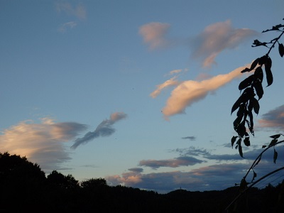 P9120020.JPG