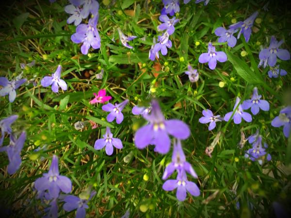 rblog-20160625182717-04.jpg