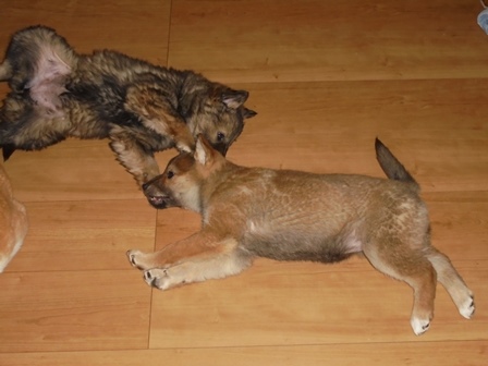 DSC01715.JPG