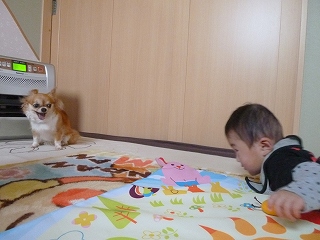 P1020473.jpg