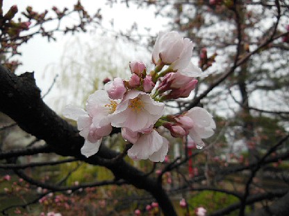 DSCN2064.jpg