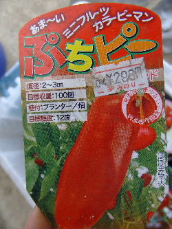 DSCF2173.jpg
