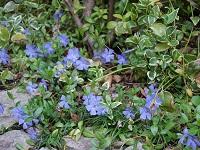 017-1.jpg