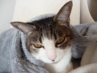 P1280395ss.jpg