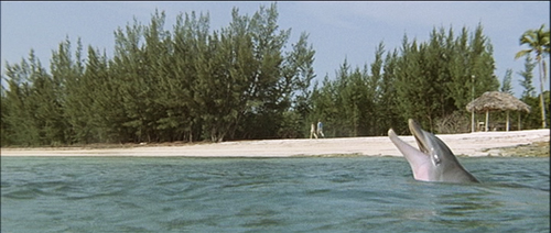 Delerue『イルカの日』/1973年 映画サントラ おじなみの日記 楽天ブログ