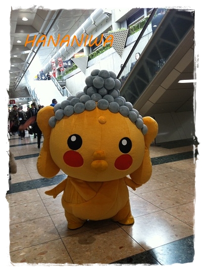 REMI アイフォン写真 2135.JPG