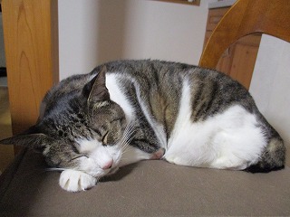 IMG_0673ss.jpg