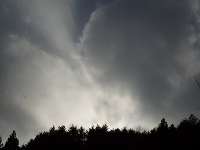 P1070042.JPG