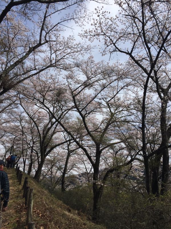 rblog-20170414000747-04.jpg