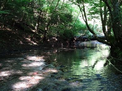 男池からの平治岳登山！ | 酔いどれ日記（夢に向かって） - 楽天ブログ