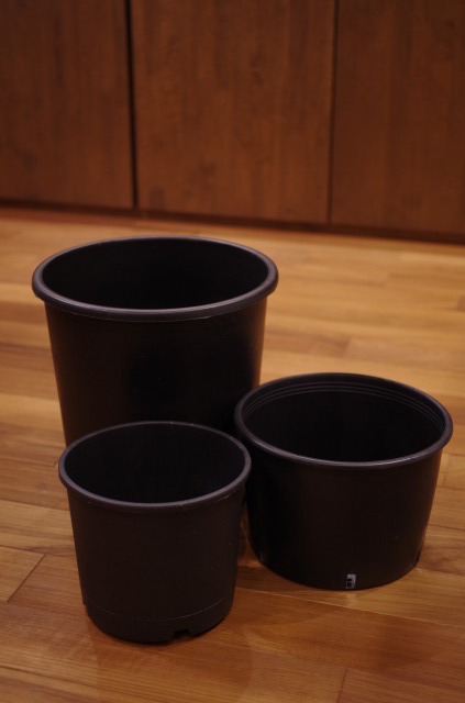 s_IMGP3920.JPG