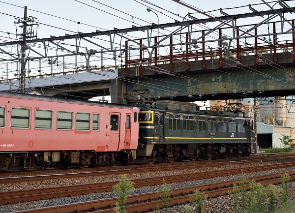 EF81-103 2014.09.16 9382レ　2.jpg