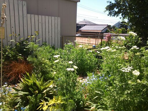 rblog-20140507215828-01.jpg