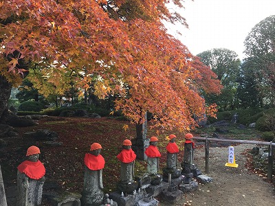 ８番の紅葉。」