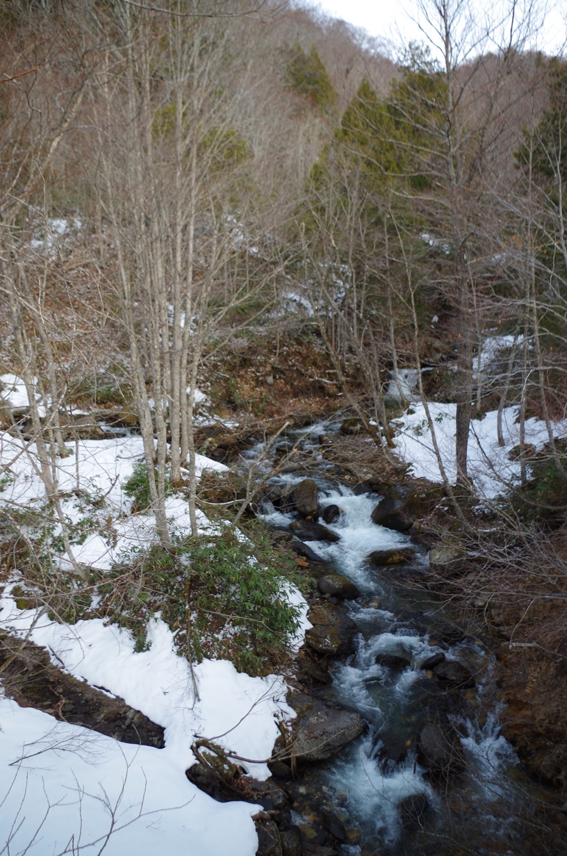 6_IMGP1000.JPG