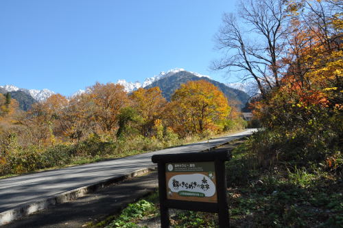 馬場島