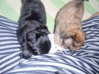 P7144126.JPG