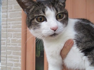 IMG_3608ss.jpg