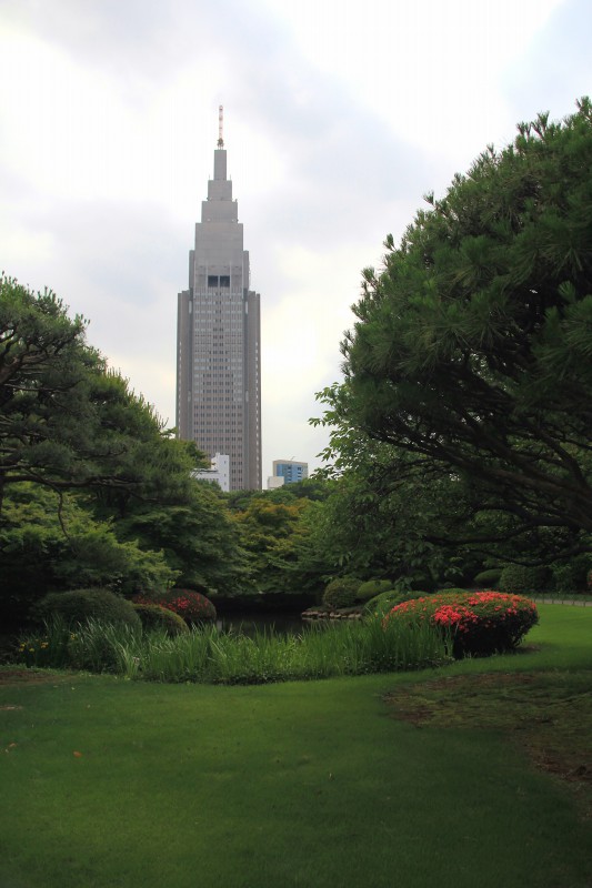 新宿御苑_6-04.jpg