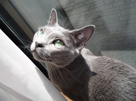 P1240702 - コピー (2).JPG