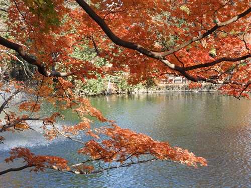 井の頭恩賜公園